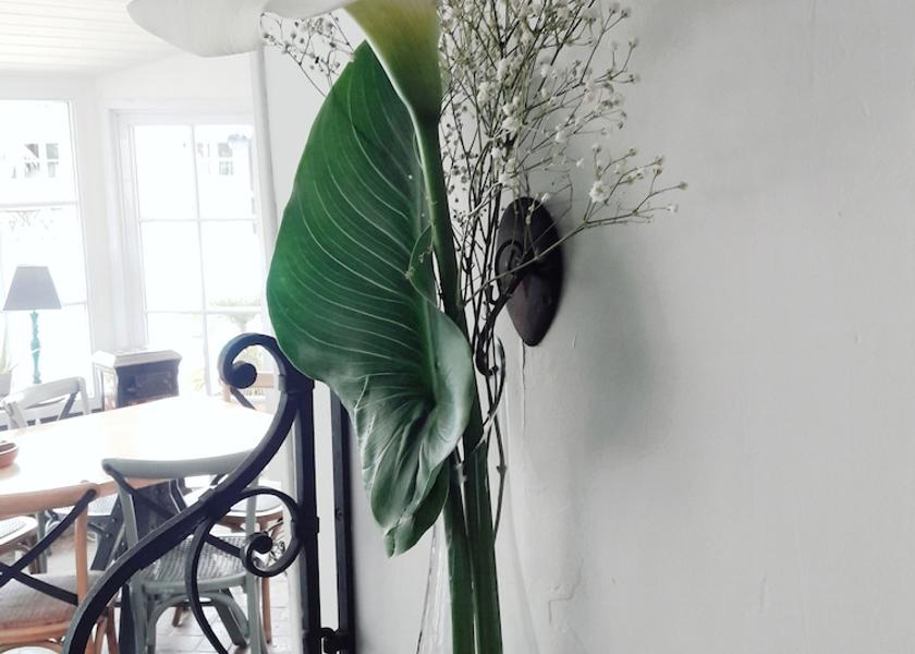 Pays de la Loire Challans Interior Entrance