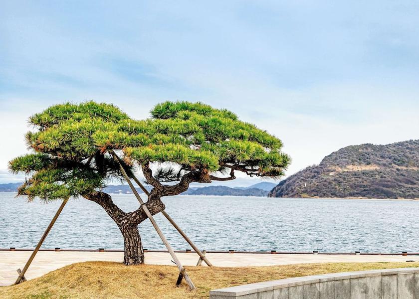 Kagawa Takamatsu Beach