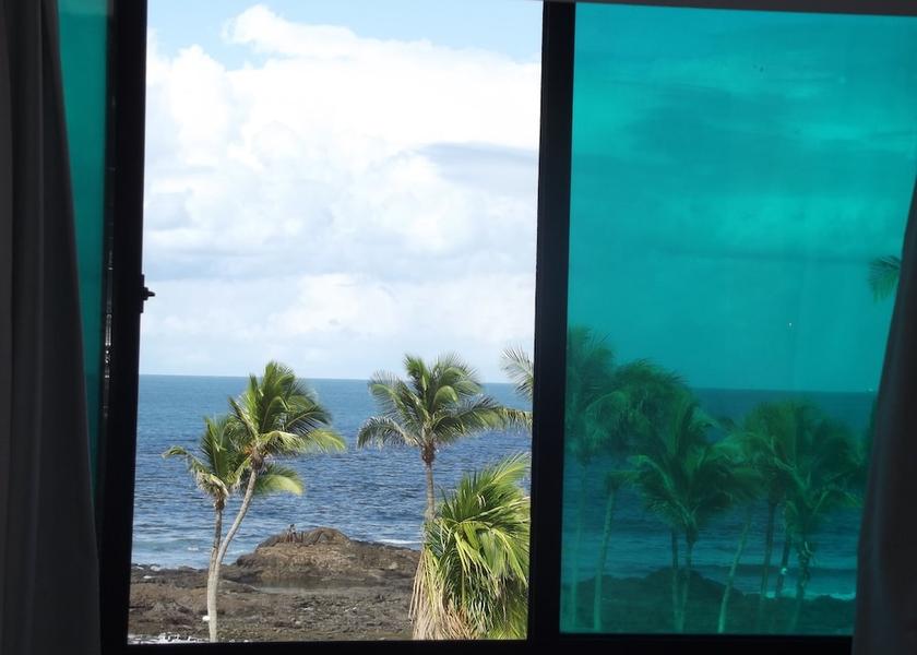 Bahia State Salvador View from Property