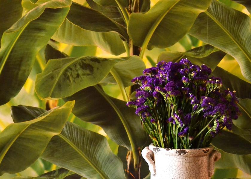Guatemala (department) Guatemala City Lobby