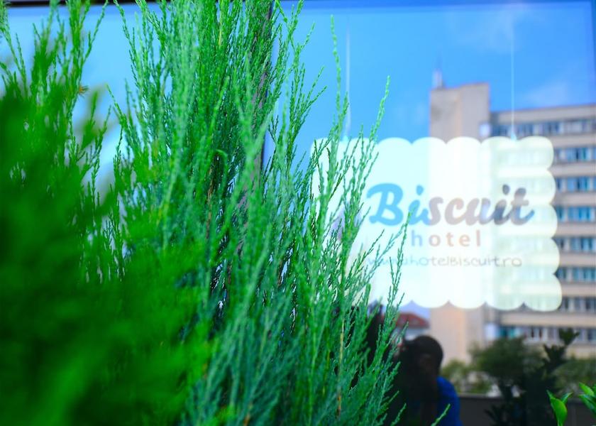  Cluj-Napoca Property Grounds