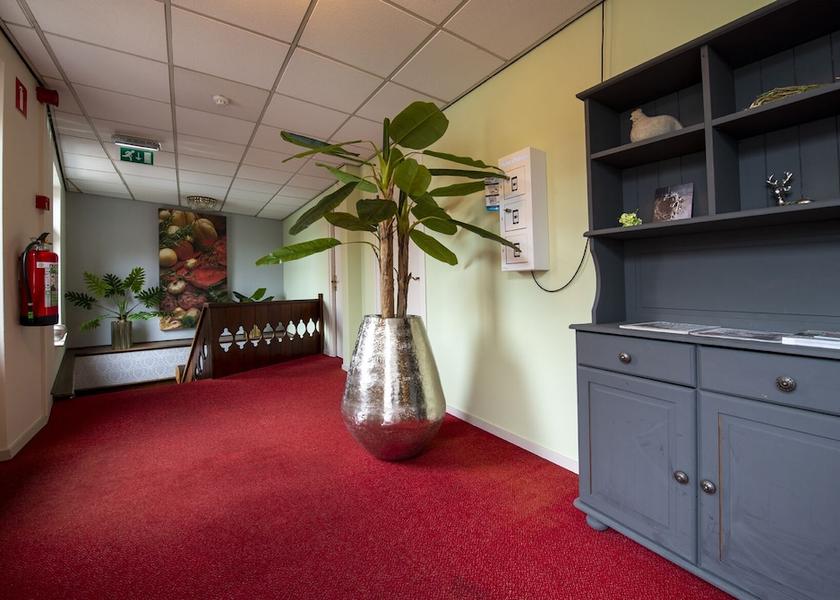 Limburg Arcen Room