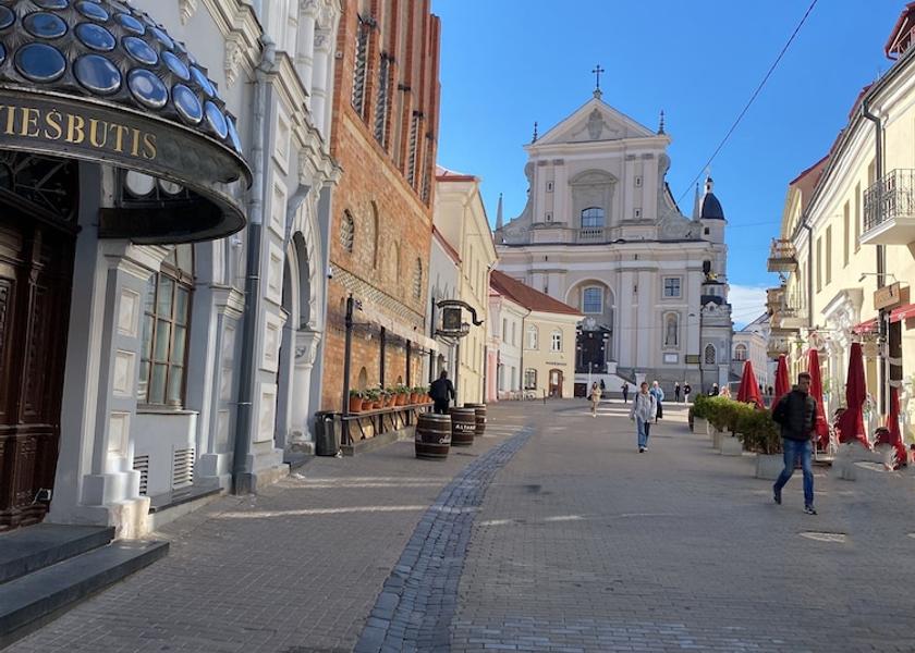  Vilnius Exterior Detail