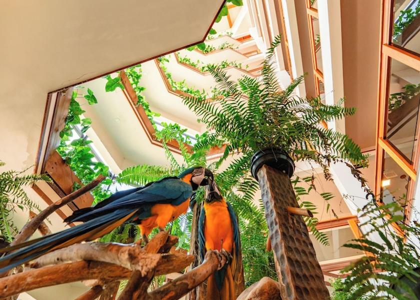 Santa Catarina (state) Piratuba Reception