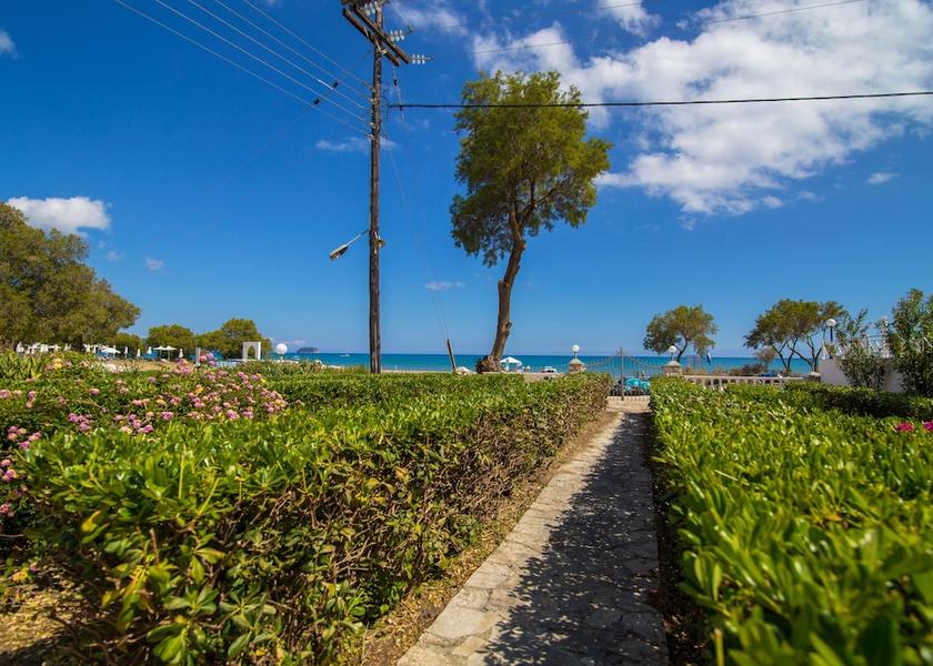 Ionian Islands Region Zakynthos Garden