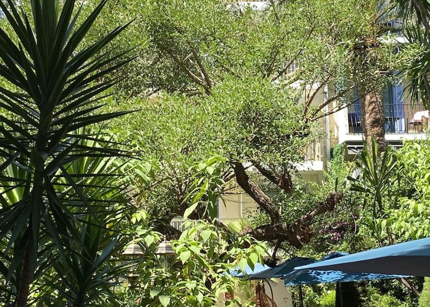 Provence - Alpes - Cote d'Azur Cannes Facade