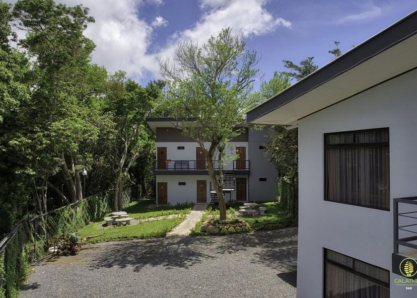 Puntarenas Monteverde Garden