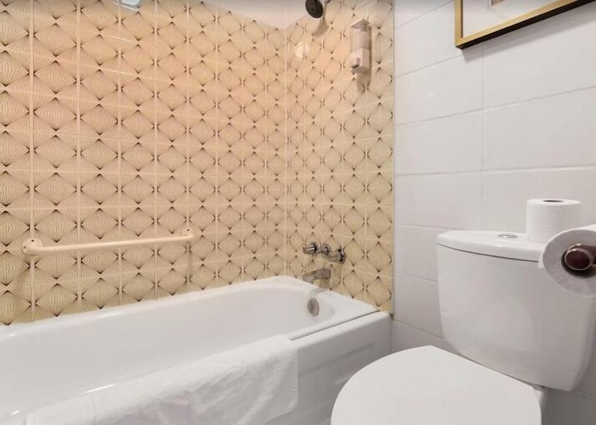 Quebec Shawinigan Bathroom