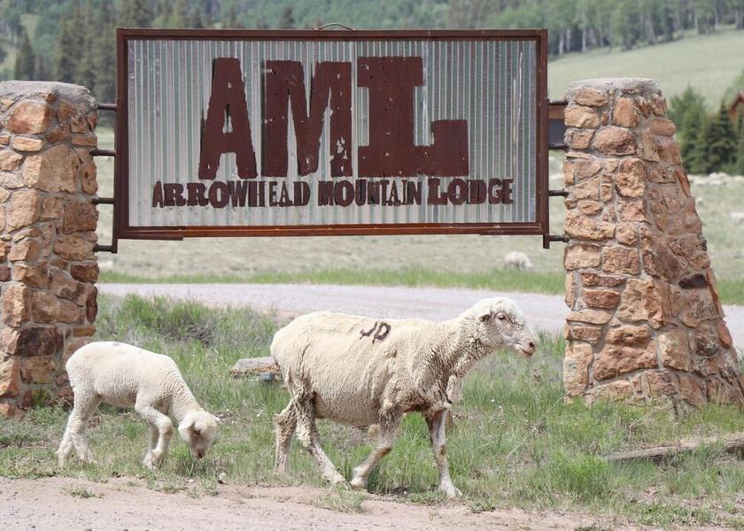 New Mexico Cimarron Exterior Detail