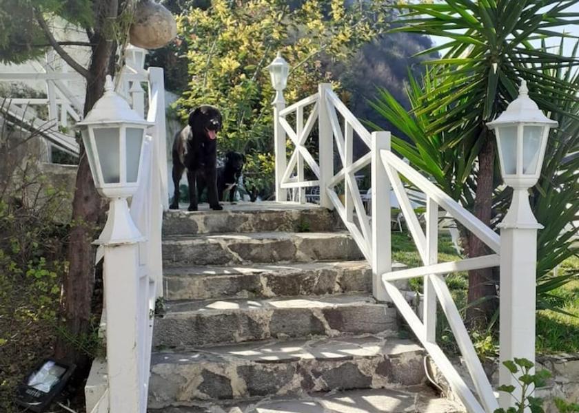 Zonguldak Province Zonguldak Property Grounds