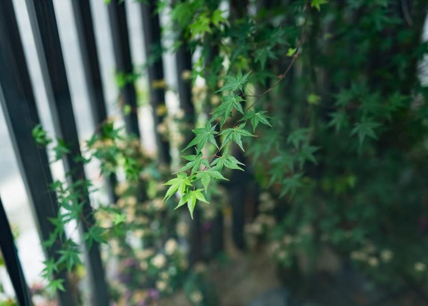 Fukuoka (prefecture) Kitakyushu Exterior Detail