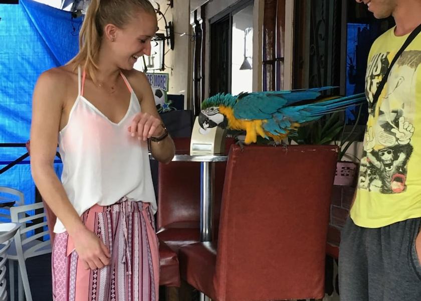 Panama Panama City Porch