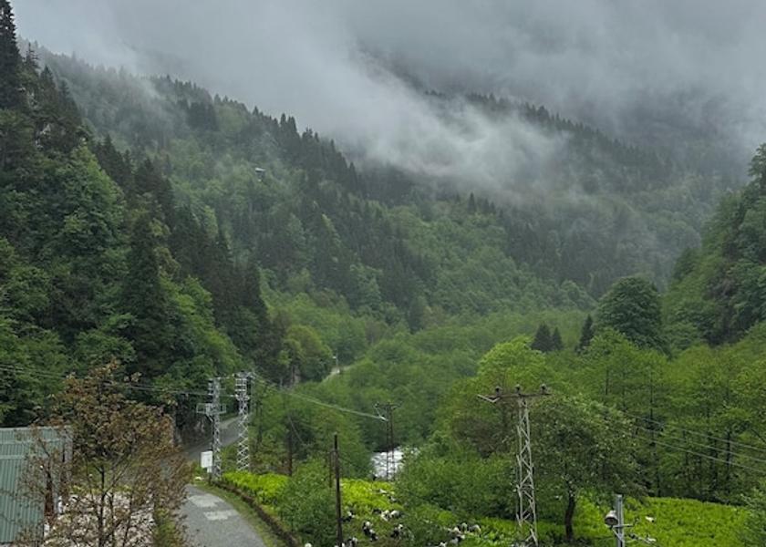 Rize Province Çamlıhemşin View from room
