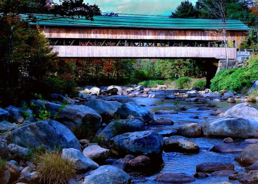 Georgia Jackson Primary image