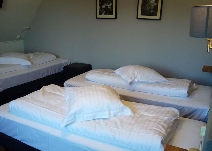 Grand Est Bischwiller Room