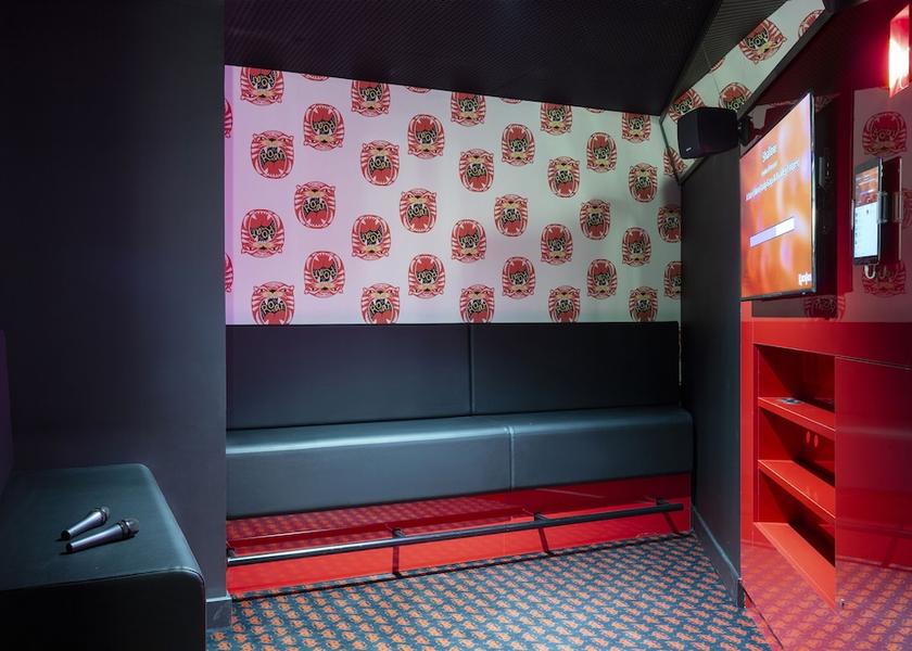 Auvergne-Rhône-Alpes Grenoble Karaoke Room