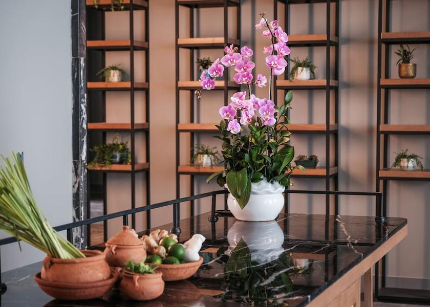 Gia Lai Province Quy Nhon Spa