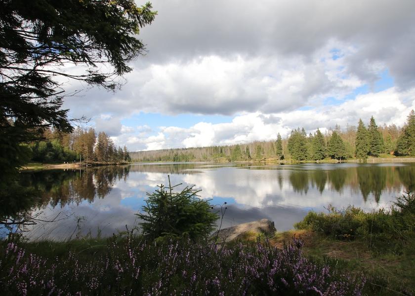 Saxony-Anhalt Oberharz am Brocken Water-based activities