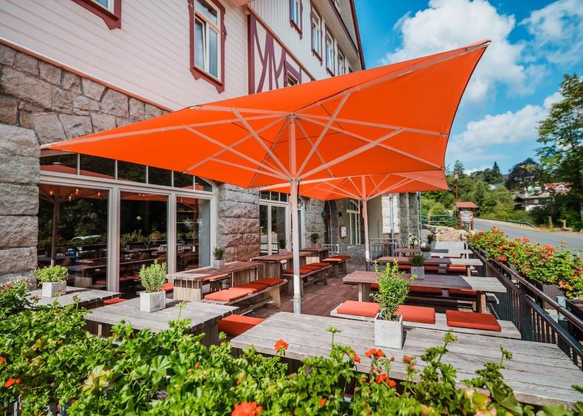 Saxony-Anhalt Wernigerode Outdoor dining