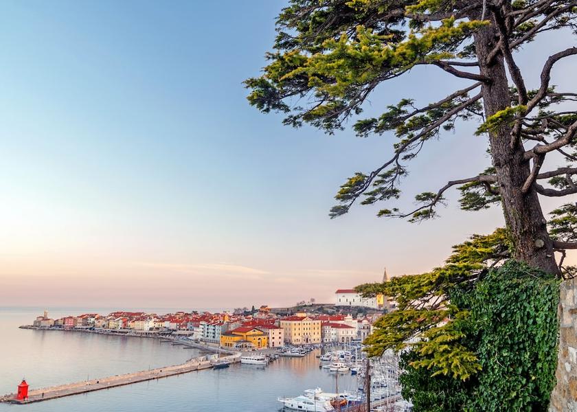  Piran Beach
