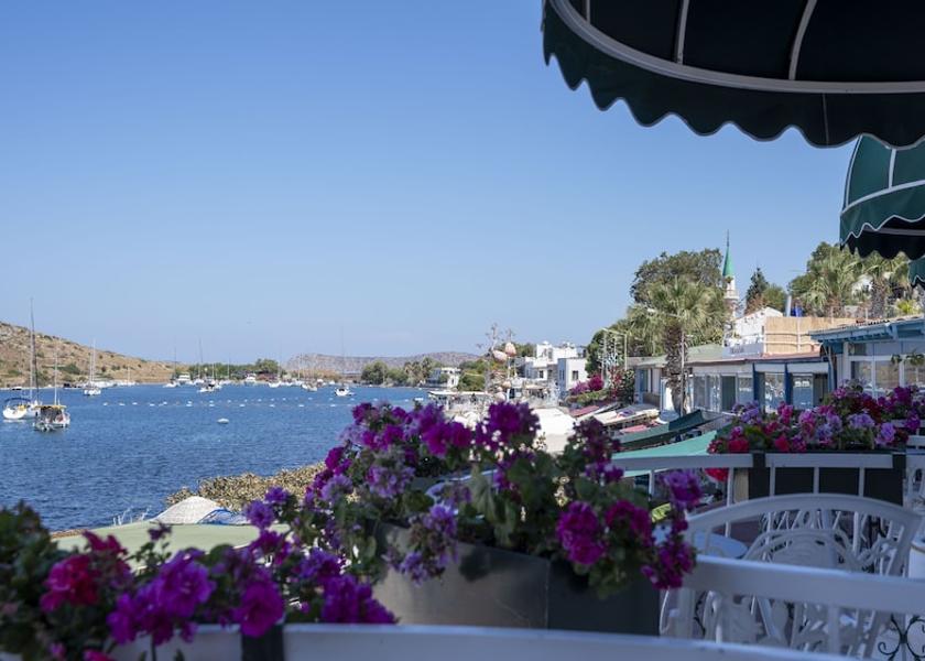 Muğla Bodrum Room