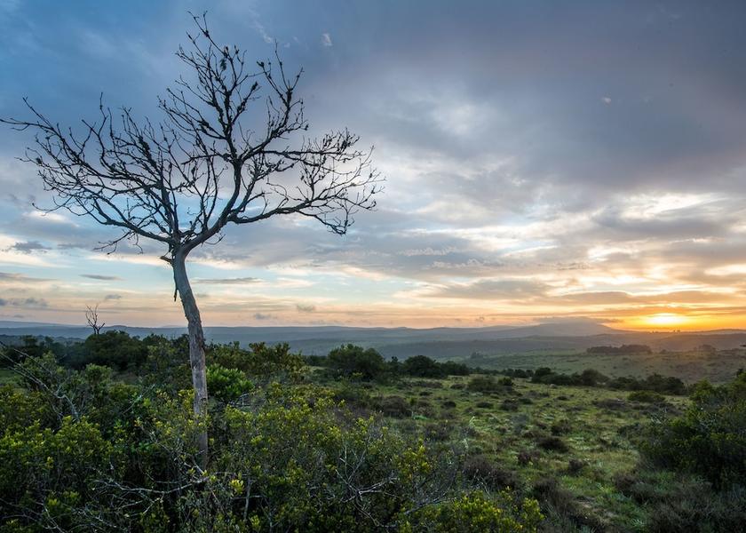Land View from Property