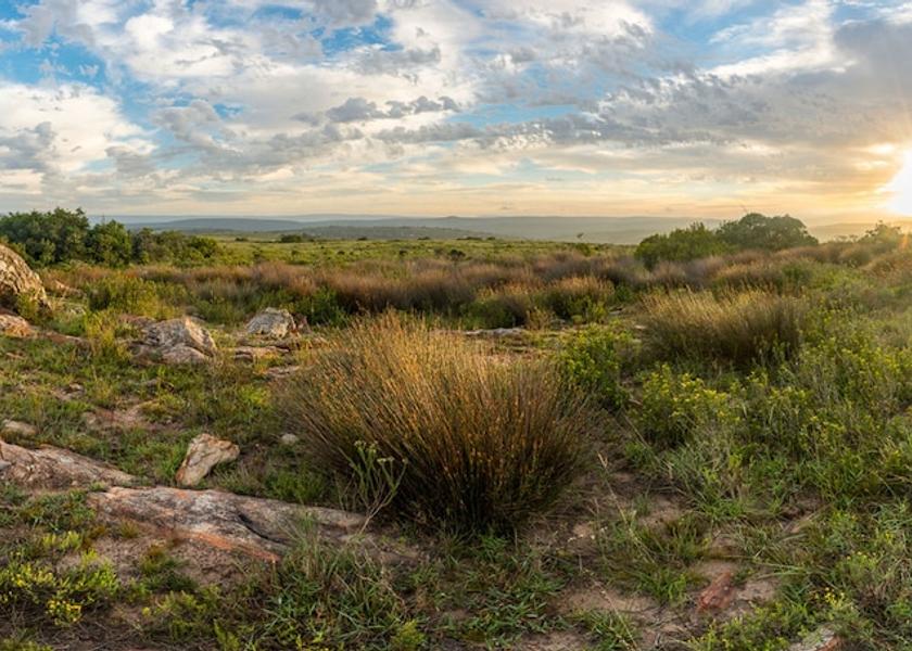 Land View from Property