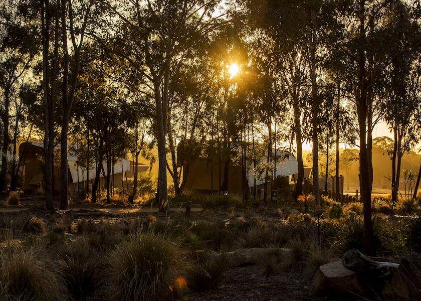 New South Wales Dubbo Exterior