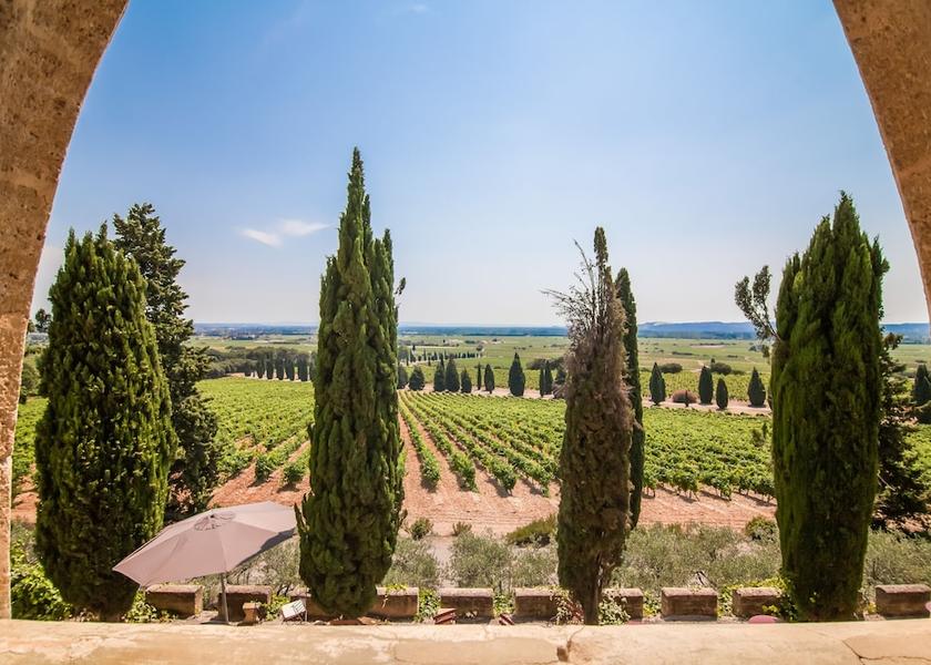 Provence-Alpes-Côte d'Azur Châteauneuf-du-Pape Garden