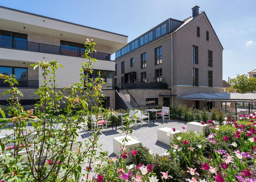 Saxony Pirna Garden