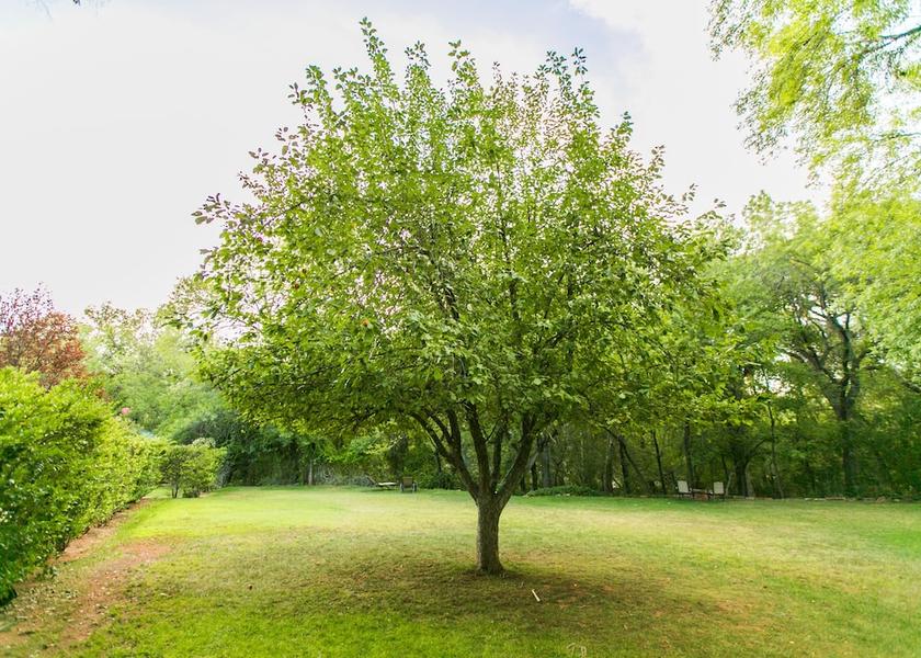 Arizona Sedona Property Grounds