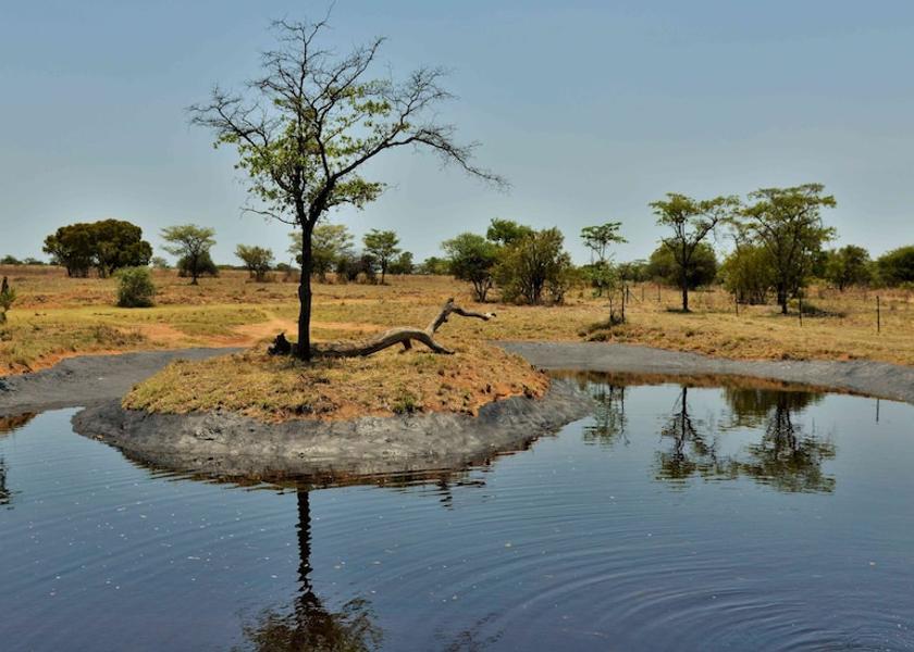 Limpopo Bela-Bela Safari and game