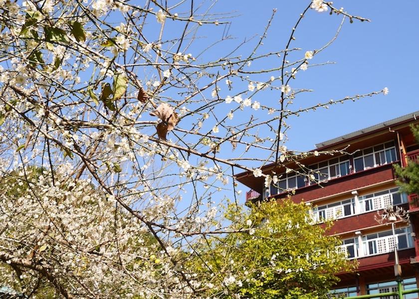 Nantou County Lugu Courtyard