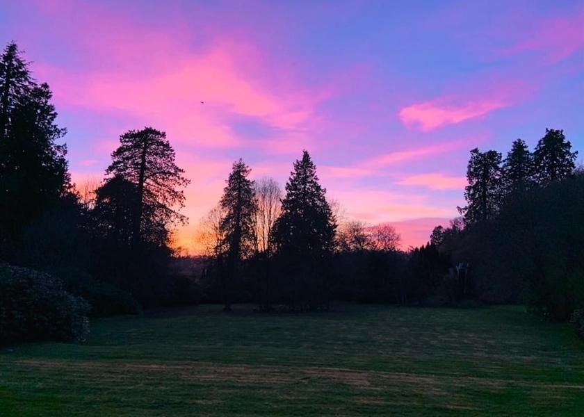 Scotland Carluke Property Grounds