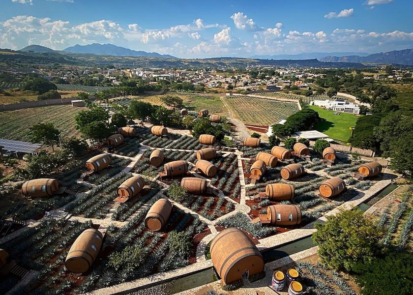 Jalisco Tequila Aerial View