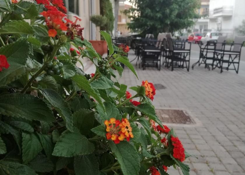 Western Greece Archaia Olympia Exterior Detail