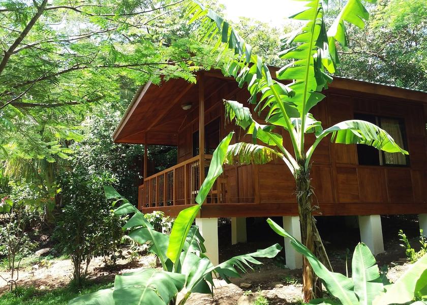 Puntarenas Monteverde Room