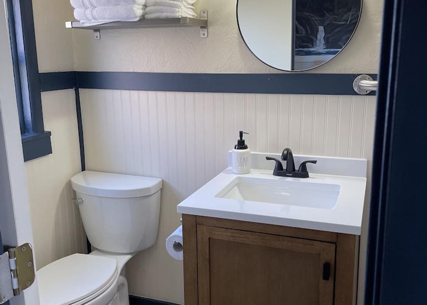 Idaho Salmon Bathroom