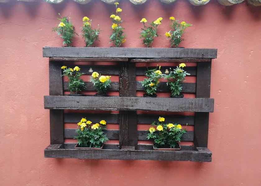 Marche Castelfidardo Exterior Detail