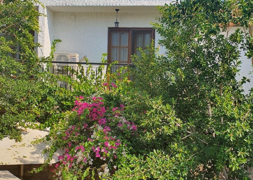 Izmir Seferihisar Terrace