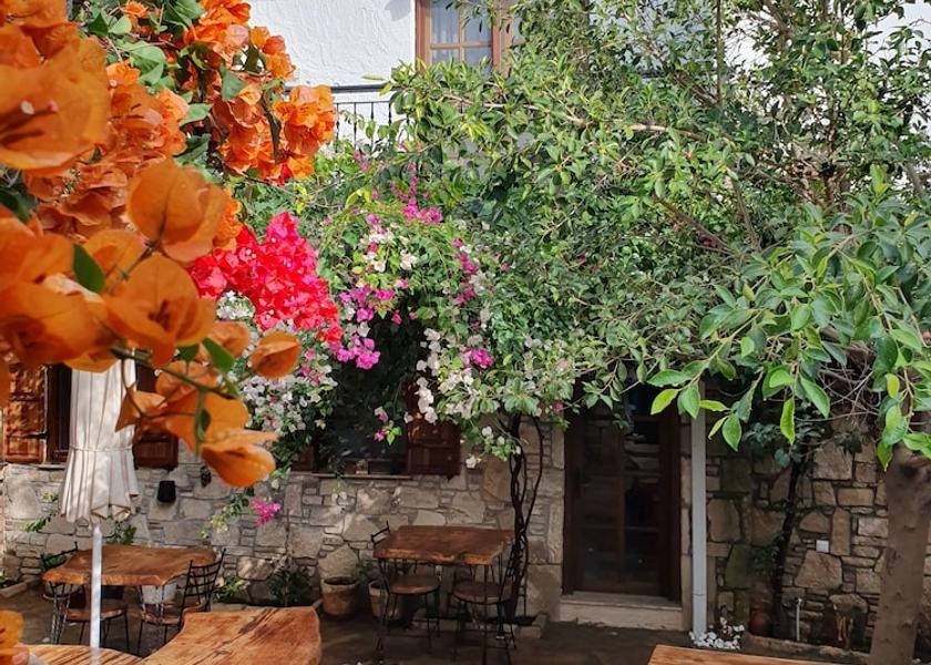 Izmir Seferihisar Breakfast buffet