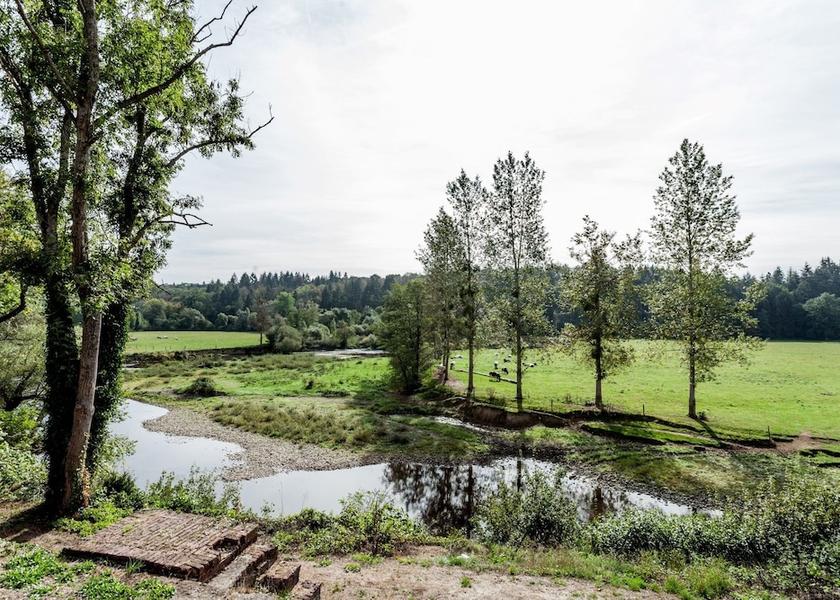 Walloon Region Rochefort Garden