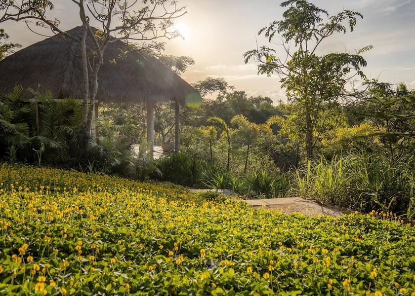  Penida Island Garden