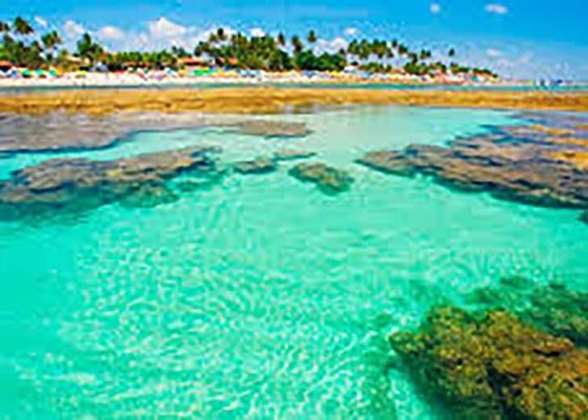 Pernambuco Ipojuca Beach