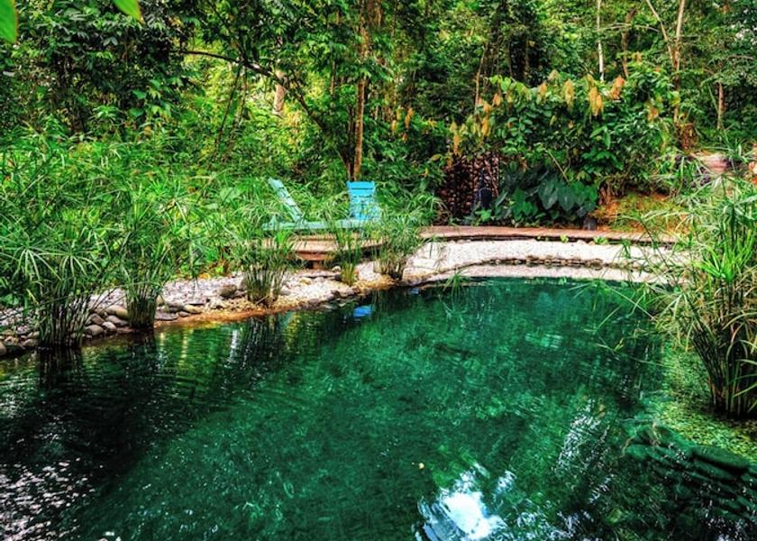 Limon Cahuita Pool
