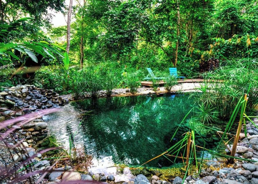 Limon Cahuita Pool