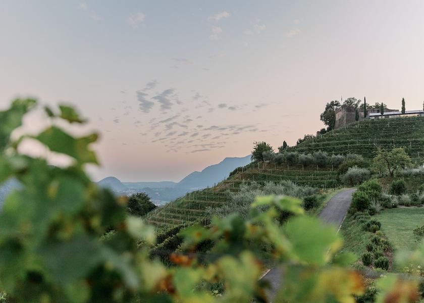 Canton of Ticino Vico Morcote Garden