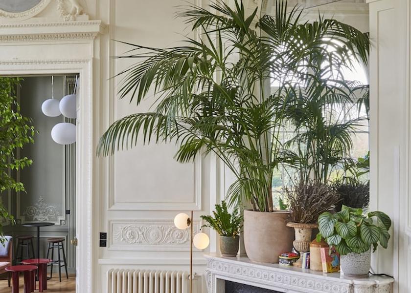 Ile-de-France Saint-Germain-en-Laye Lobby
