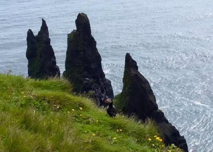 South Iceland Vik I Myrdal Property Grounds