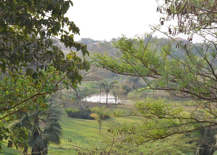 Haut-Katanga Lubumbashi Garden view